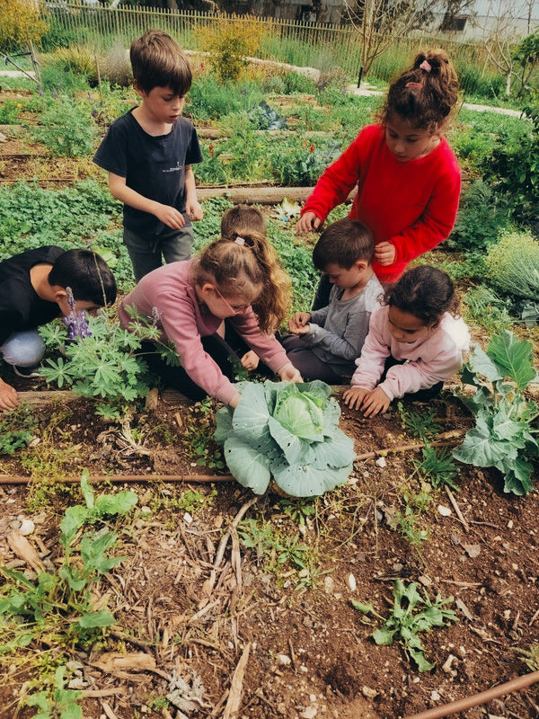 LA HABITACIÓN DE VOLVER