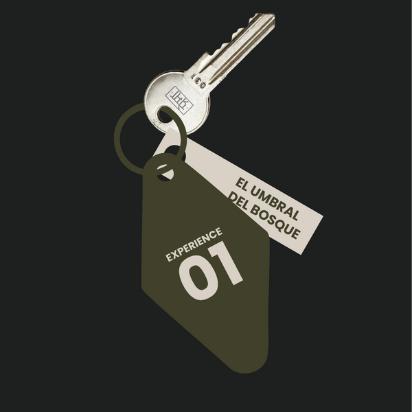 EL UMBRAL DEL BOSQUE