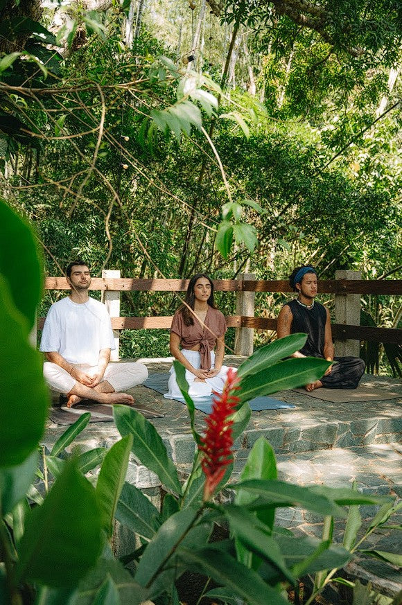 EL UMBRAL DEL BOSQUE